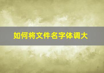 如何将文件名字体调大