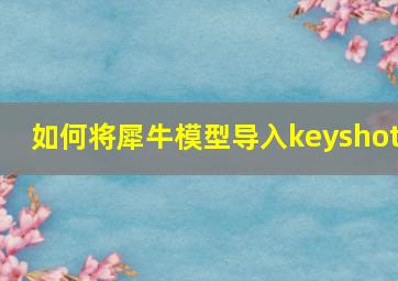 如何将犀牛模型导入keyshot