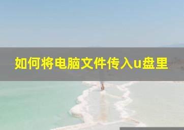 如何将电脑文件传入u盘里