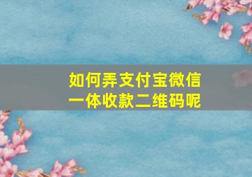 如何弄支付宝微信一体收款二维码呢