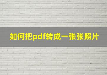 如何把pdf转成一张张照片