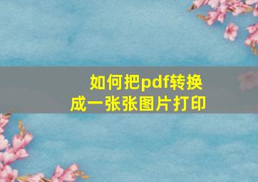 如何把pdf转换成一张张图片打印