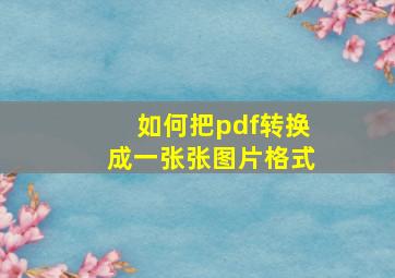 如何把pdf转换成一张张图片格式