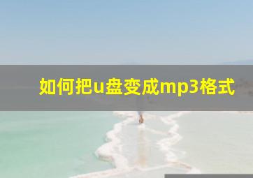 如何把u盘变成mp3格式