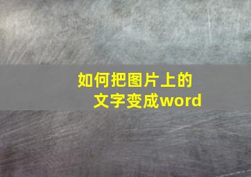 如何把图片上的文字变成word