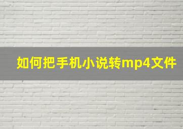 如何把手机小说转mp4文件