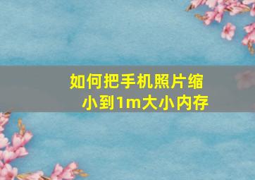 如何把手机照片缩小到1m大小内存