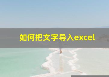 如何把文字导入excel