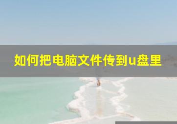 如何把电脑文件传到u盘里