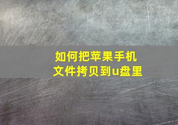 如何把苹果手机文件拷贝到u盘里