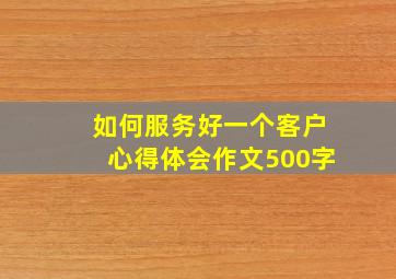 如何服务好一个客户心得体会作文500字