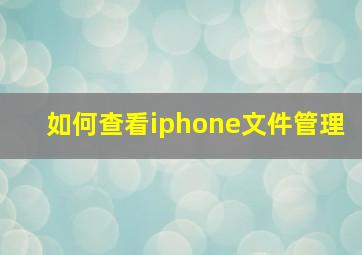 如何查看iphone文件管理