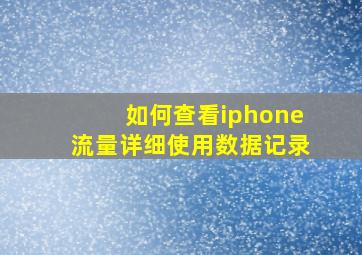 如何查看iphone流量详细使用数据记录