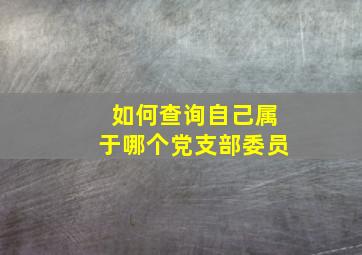 如何查询自己属于哪个党支部委员