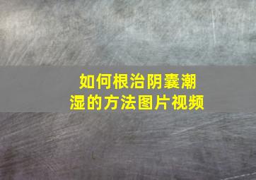 如何根治阴囊潮湿的方法图片视频