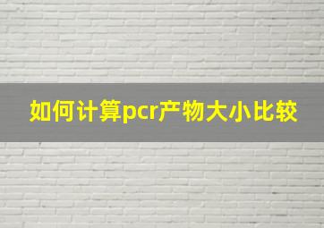 如何计算pcr产物大小比较