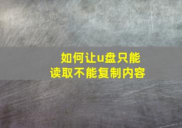 如何让u盘只能读取不能复制内容