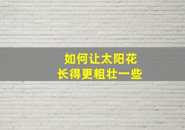 如何让太阳花长得更粗壮一些