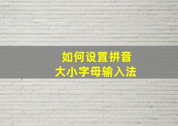 如何设置拼音大小字母输入法