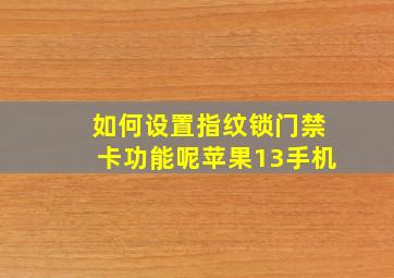 如何设置指纹锁门禁卡功能呢苹果13手机