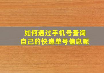 如何通过手机号查询自己的快递单号信息呢