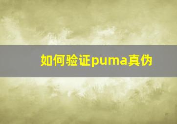 如何验证puma真伪