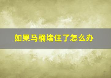 如果马桶堵住了怎么办