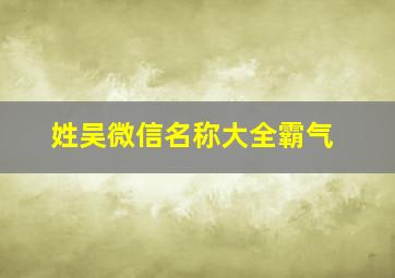 姓吴微信名称大全霸气