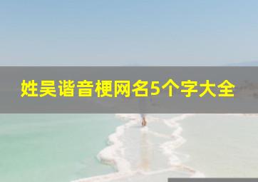 姓吴谐音梗网名5个字大全