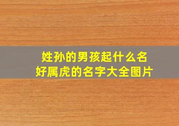 姓孙的男孩起什么名好属虎的名字大全图片