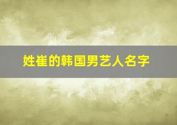 姓崔的韩国男艺人名字