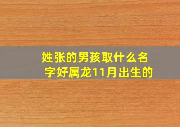 姓张的男孩取什么名字好属龙11月出生的