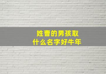 姓曹的男孩取什么名字好牛年