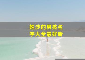 姓沙的男孩名字大全最好听