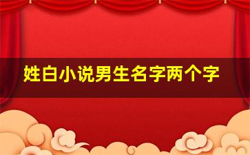 姓白小说男生名字两个字