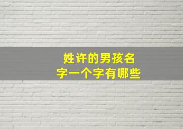 姓许的男孩名字一个字有哪些