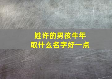 姓许的男孩牛年取什么名字好一点