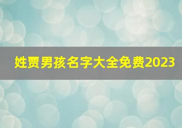 姓贾男孩名字大全免费2023