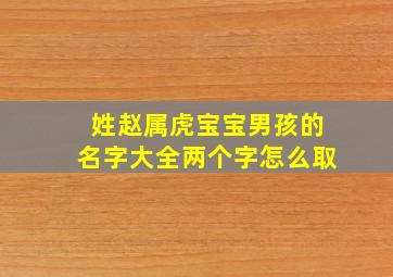 姓赵属虎宝宝男孩的名字大全两个字怎么取