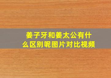 姜子牙和姜太公有什么区别呢图片对比视频