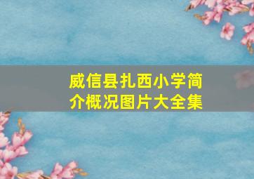 威信县扎西小学简介概况图片大全集