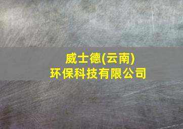 威士德(云南)环保科技有限公司