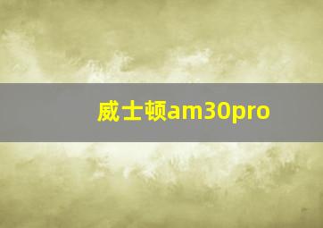 威士顿am30pro