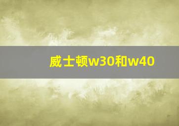 威士顿w30和w40