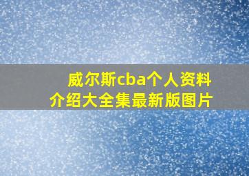 威尔斯cba个人资料介绍大全集最新版图片