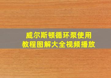 威尔斯顿循环泵使用教程图解大全视频播放