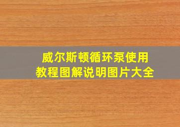 威尔斯顿循环泵使用教程图解说明图片大全