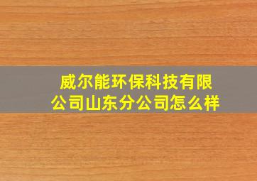 威尔能环保科技有限公司山东分公司怎么样