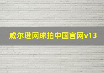 威尔逊网球拍中国官网v13