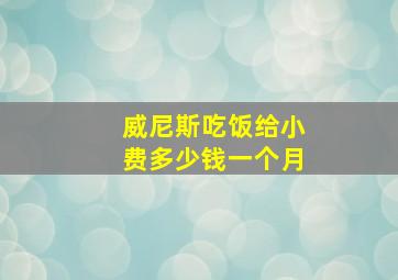 威尼斯吃饭给小费多少钱一个月